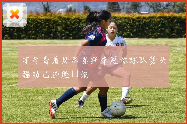 字母哥看好尼克斯夺冠称球队势头强劲已连胜11场