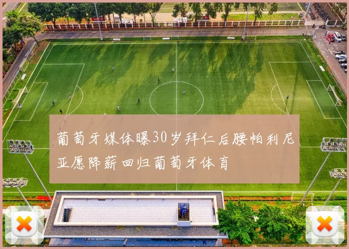 葡萄牙媒体曝30岁拜仁后腰帕利尼亚愿降薪回归葡萄牙体育