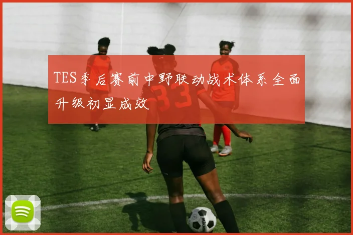 TES季后赛前中野联动战术体系全面升级初显成效
